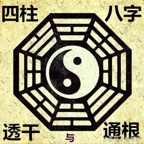 八字 透干|透干